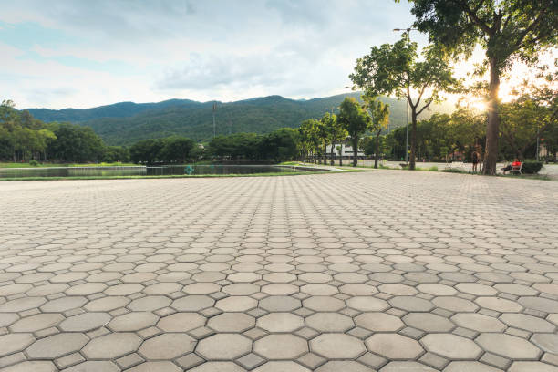 Best Decorative Driveway Pavers  in Blissfield, MI